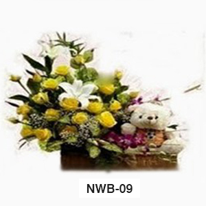 NWB09