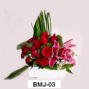 BMJ03