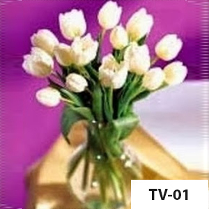 TV01