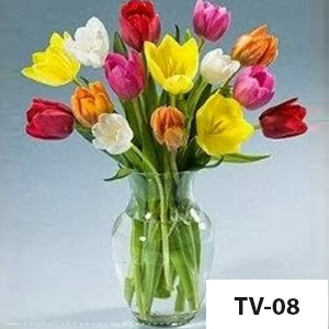 TV08