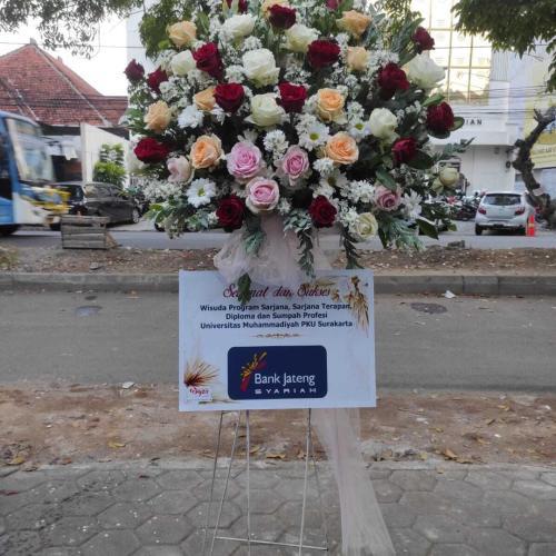 Bunga-Standing-Solo-1