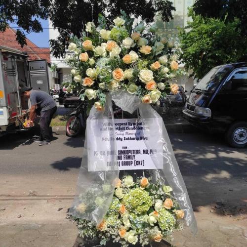 Bunga-Standing-Solo-2