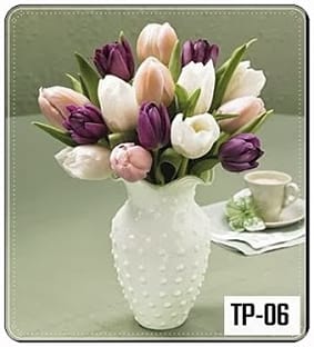 Keindahan dari Bunga Tulip Putih