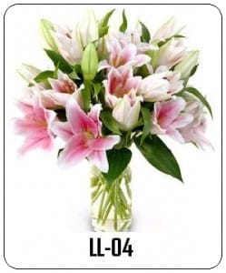 LL04