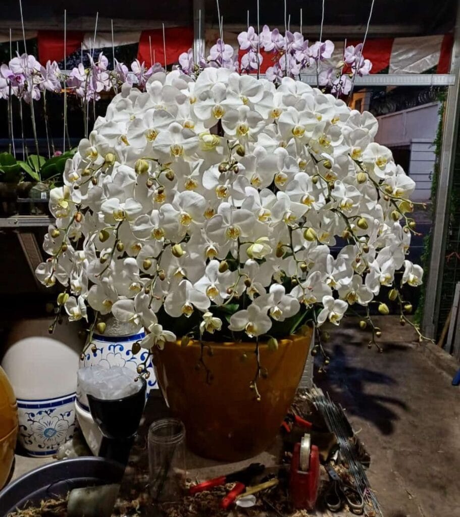 Toko Bunga Dharmawangsa Jakarta Selatan