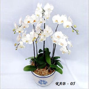 Temukan Toko Bunga Terdekat dari Bandara Soekarno Hatta