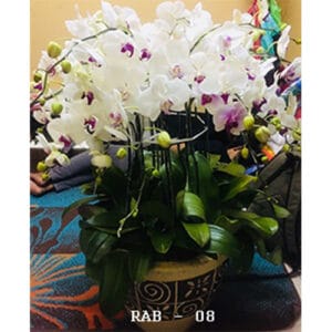 Temukan Toko Bunga Terdekat dari Bandara Soekarno Hatta